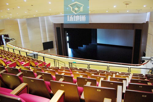 上海運(yùn)動(dòng)會(huì) 培訓(xùn)、考試與文化演出的多元融合